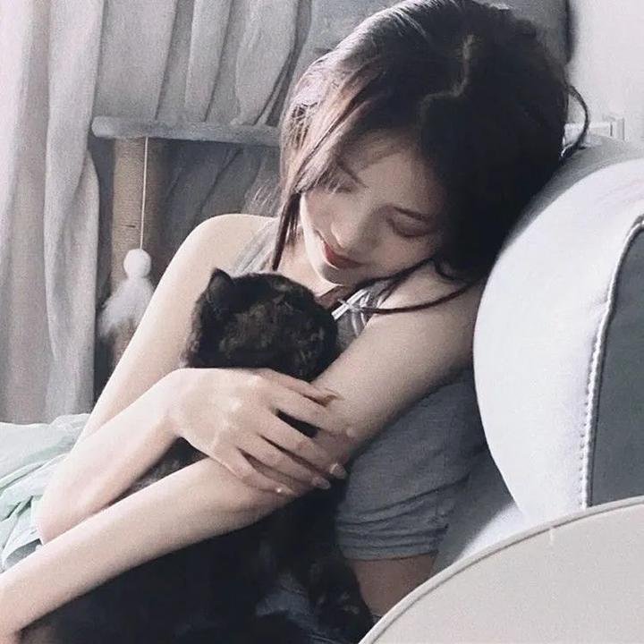 梅花档案