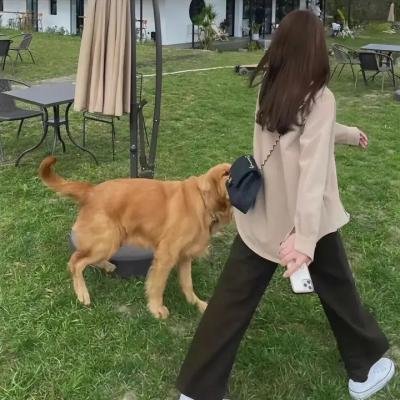 鬼新娘国语